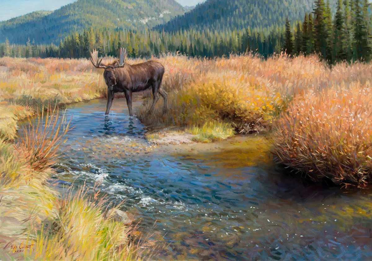 Thirsty Moose by Ken Corbett 