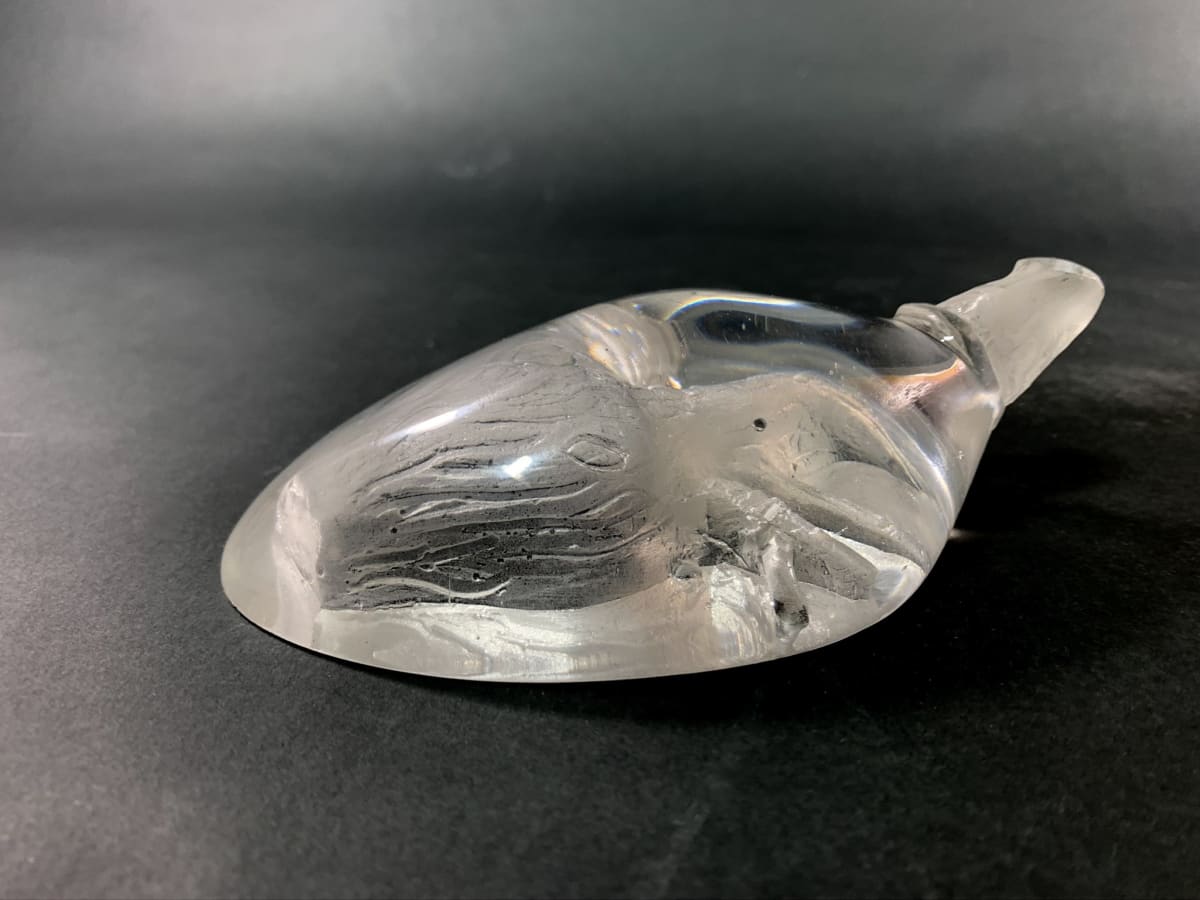 Seeds of Life - Boab by Silvana Ferrario 