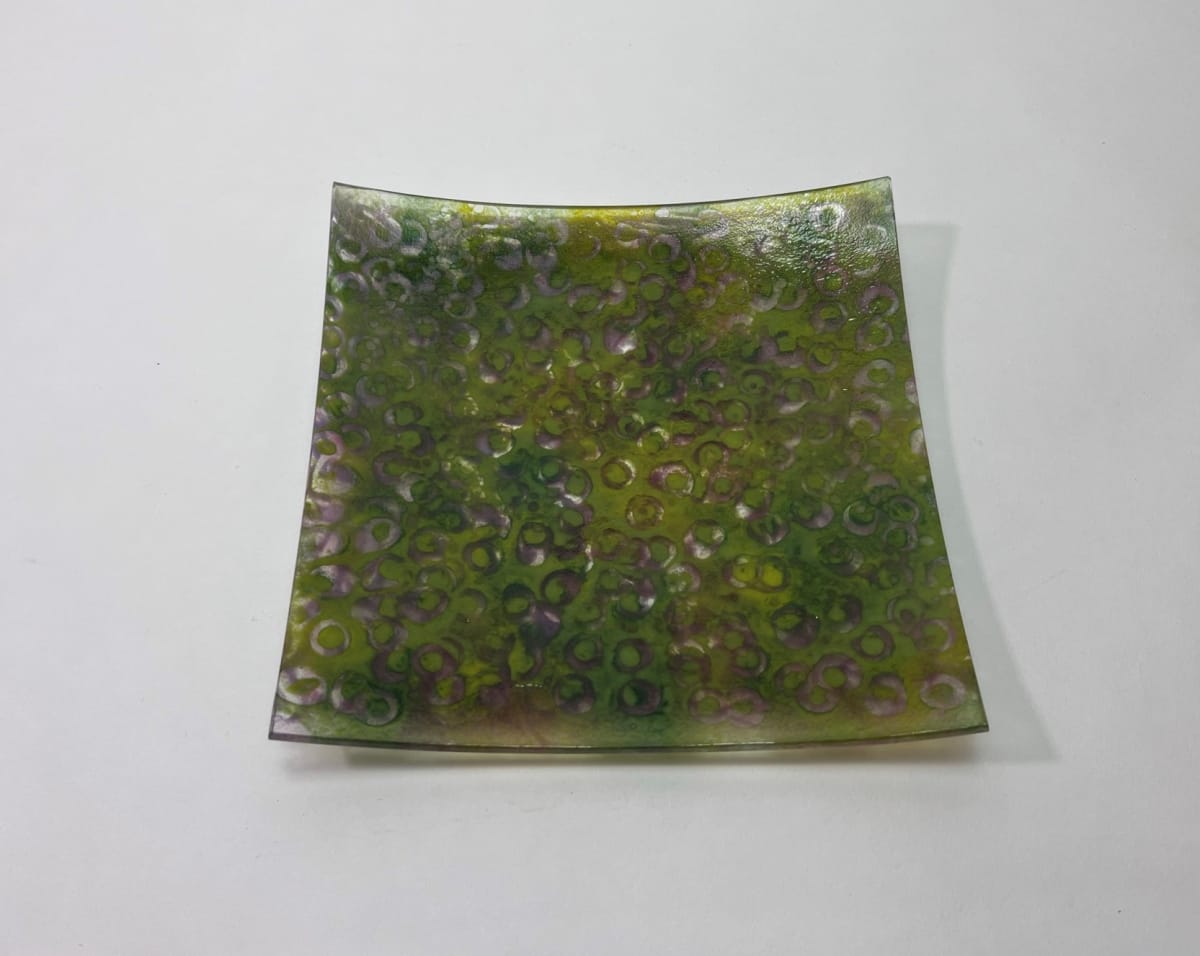 Herbaceous Border by Silvana Ferrario 