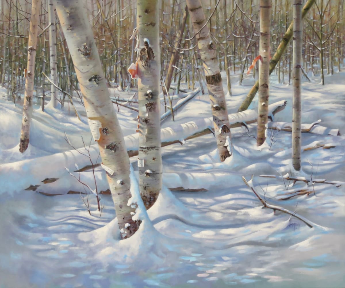 A Dappled Blanket by Barbara McGuey 