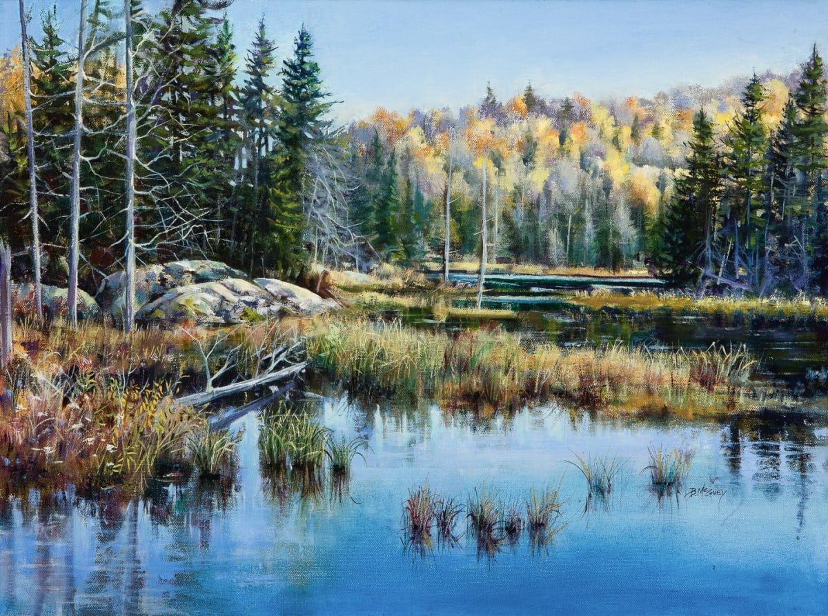 Algonquin Marsh by Barbara McGuey, Image 1.