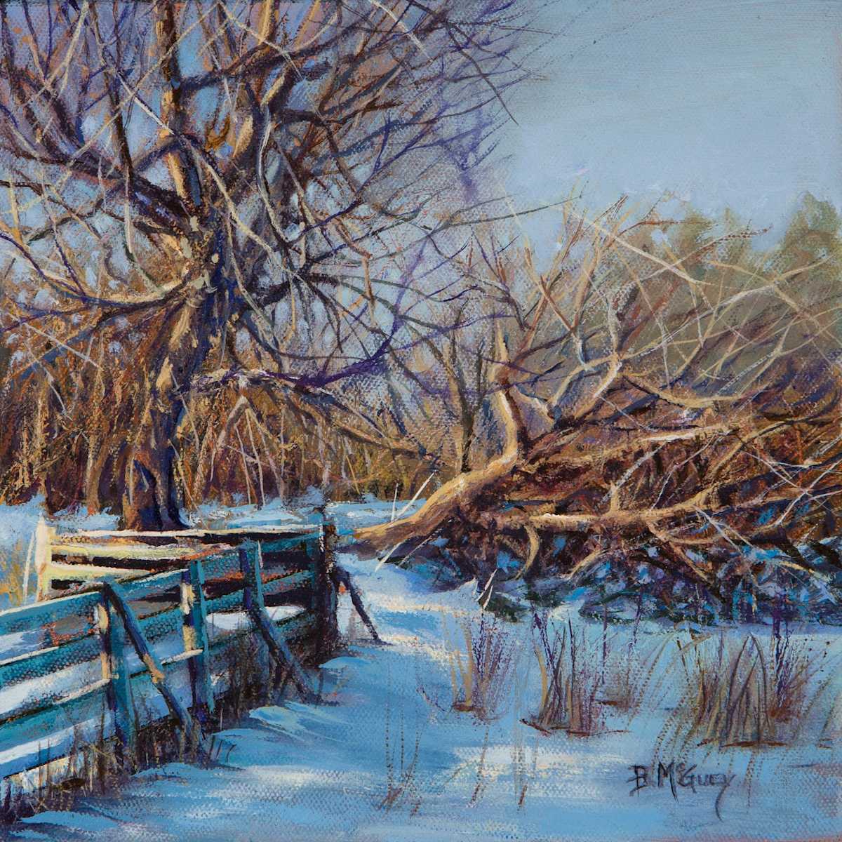 Fallen Dreams by Barbara McGuey 