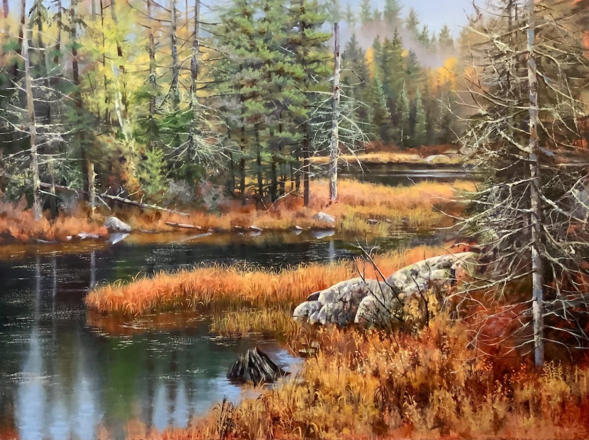 Opeongo Marsh by Barbara McGuey  Image: One of the many marshes in Algonquin Park, Ontario. This one is right at Opeongo Rd. and HWY 62. 