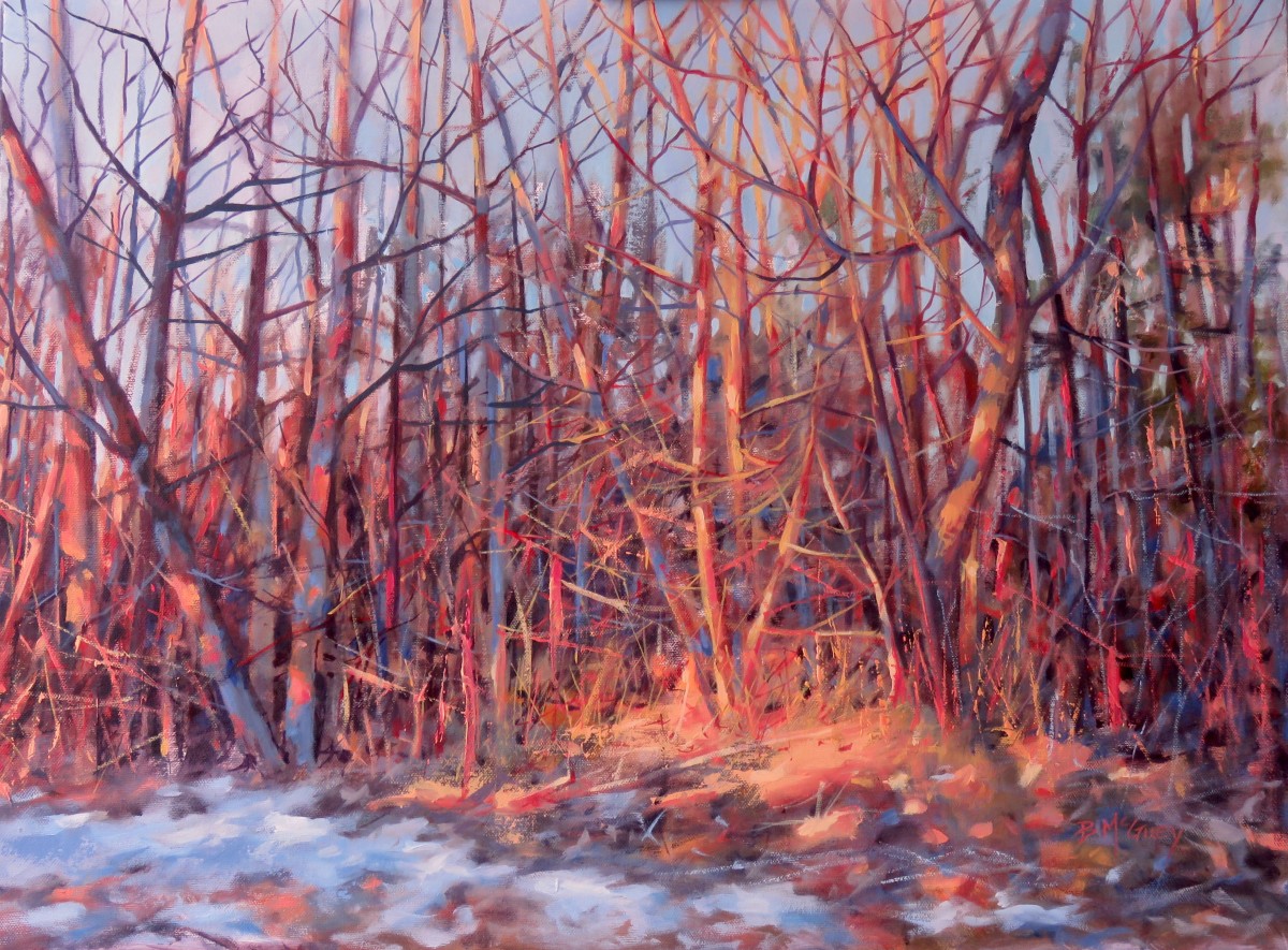 In The Spotlight by Barbara McGuey 