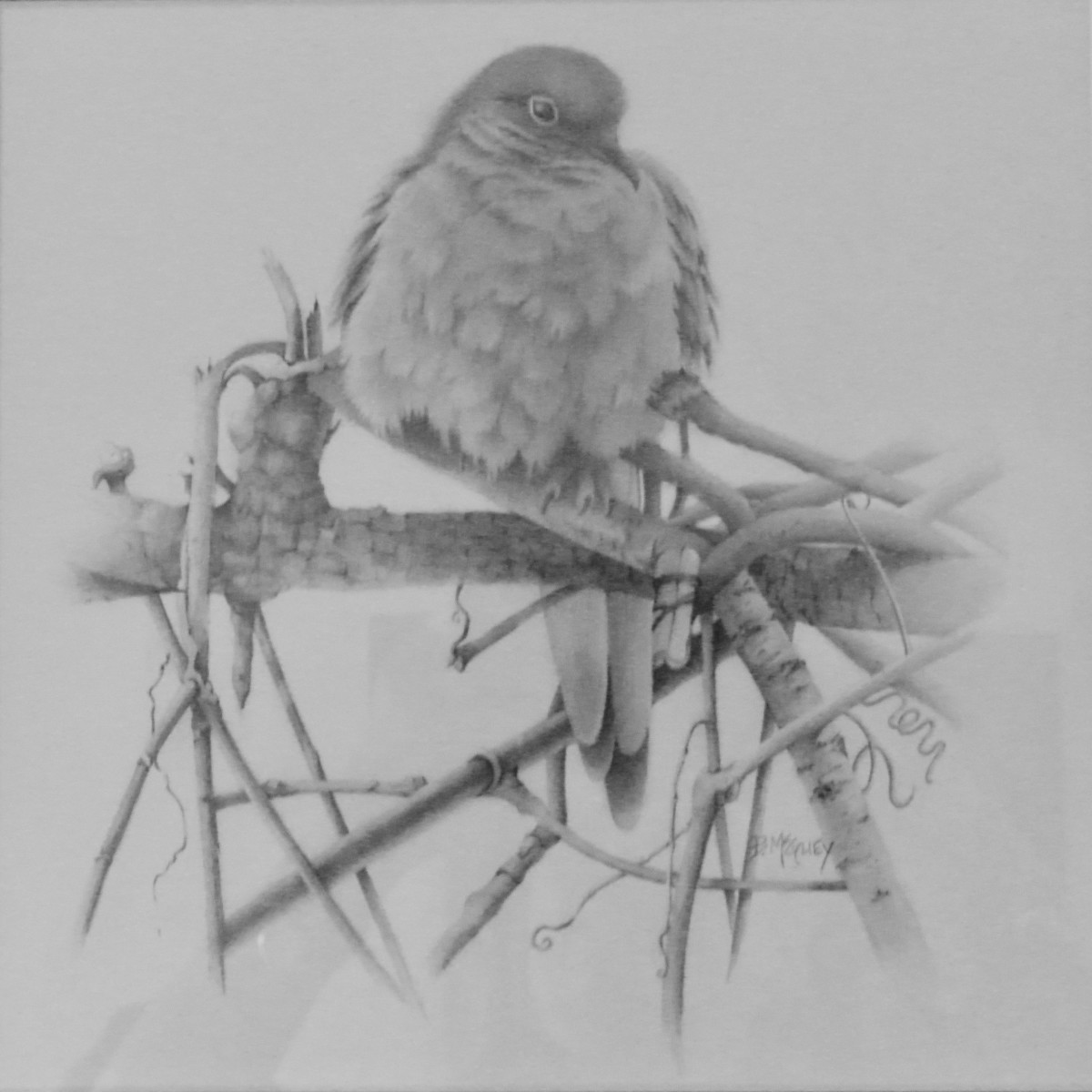 Dove Tails by Barbara McGuey 