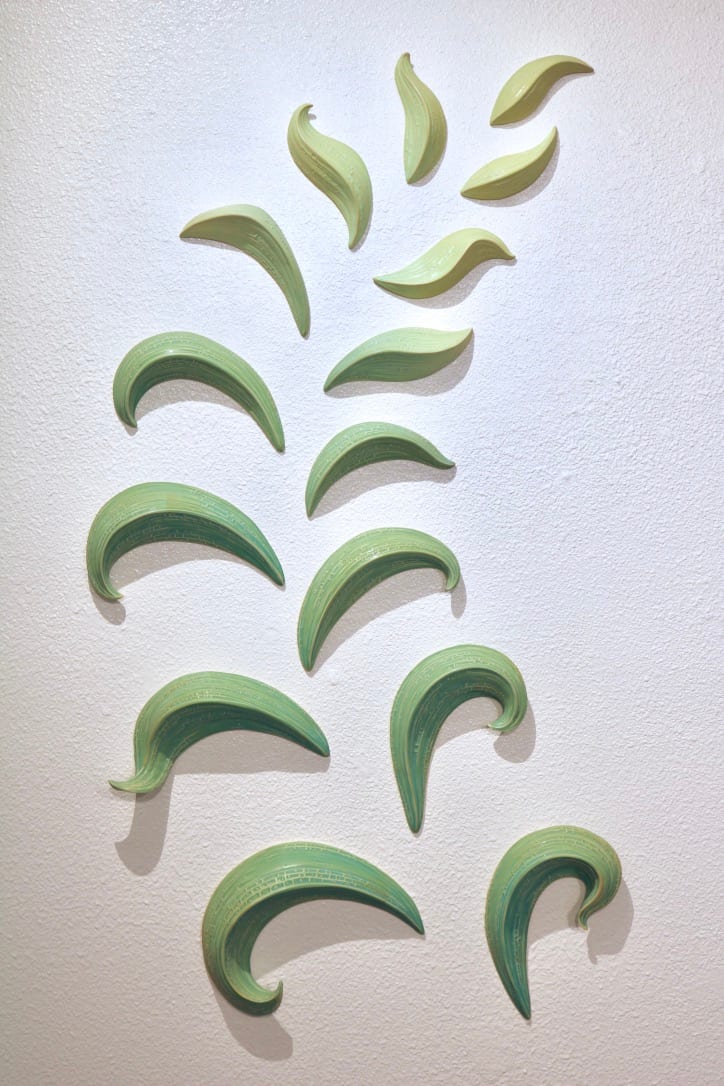 Alternafolia by Julie K. Anderson  Image: Alternafolia - full view