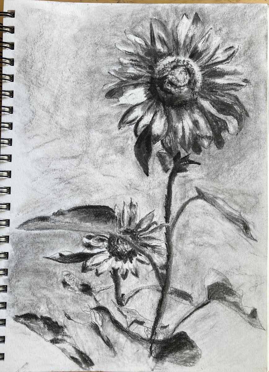 Sunflowers by John Simnett, Image 1.