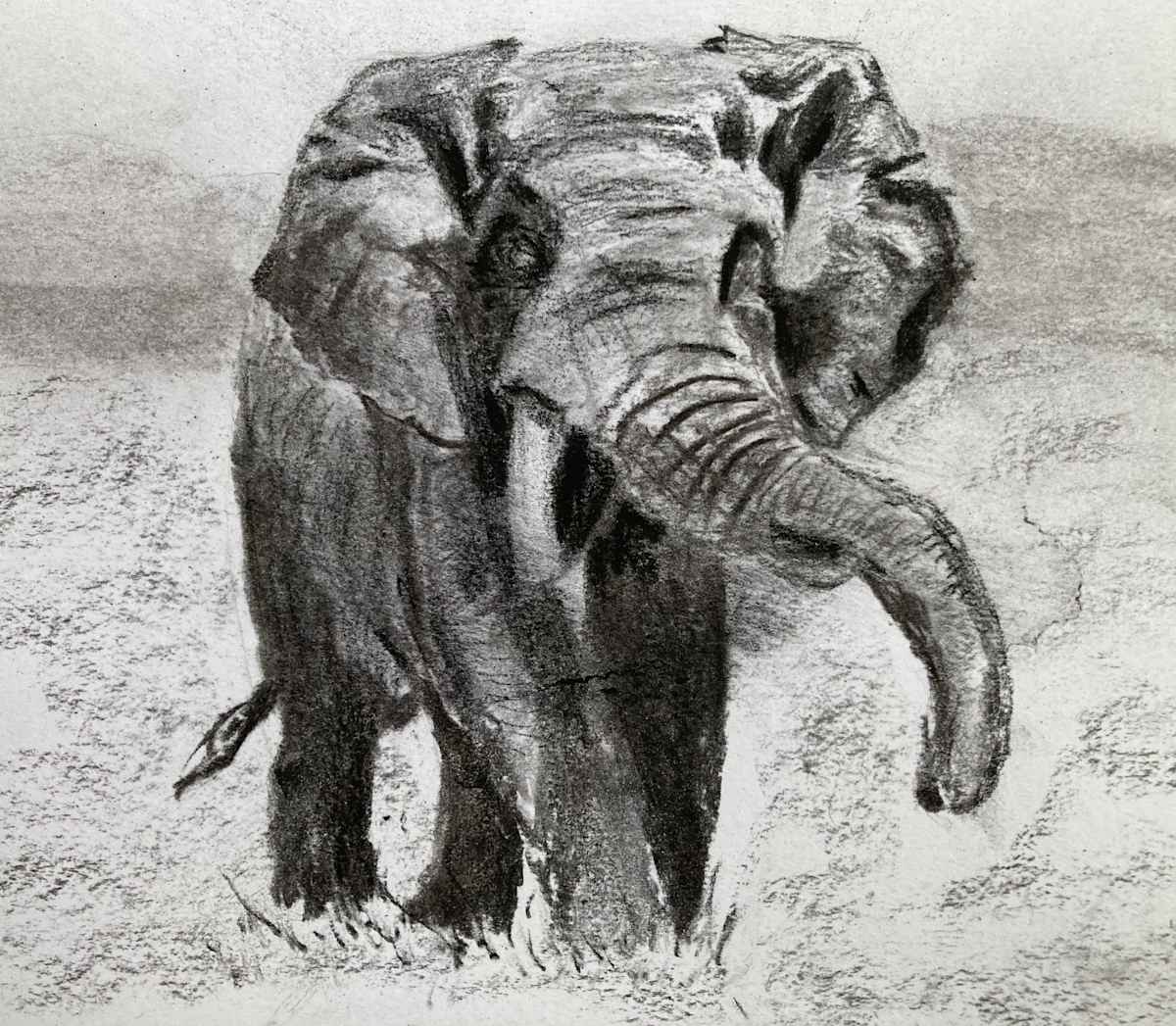 Elephant by John Simnett, Image 1.