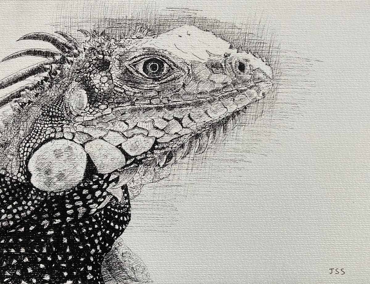 Lizard Head by John Simnett, Image 1.