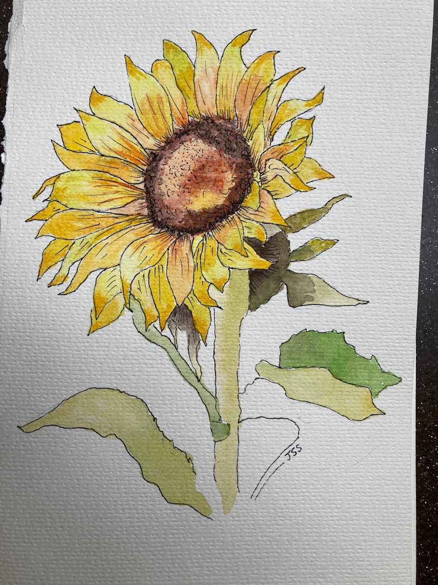 Sunflower by John Simnett, Image 1.