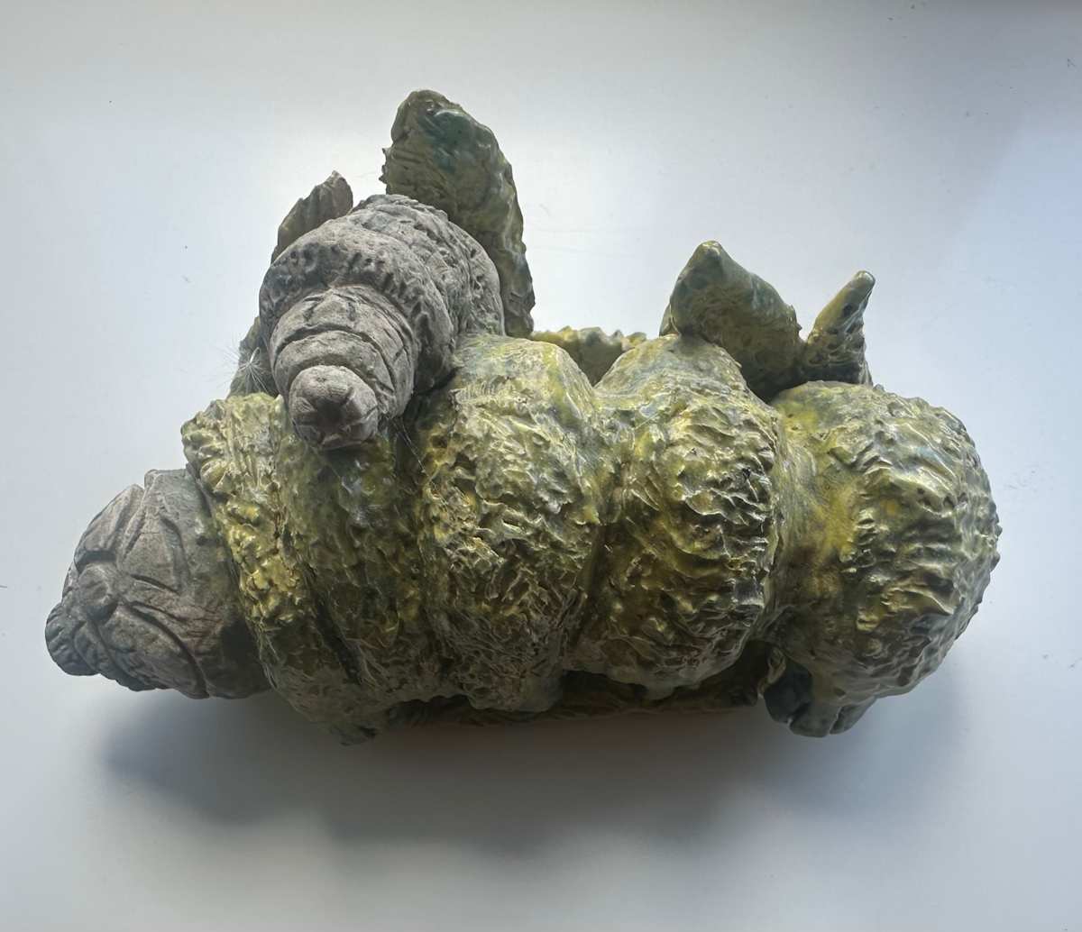 Tardigrade by John Simnett, Image 1.