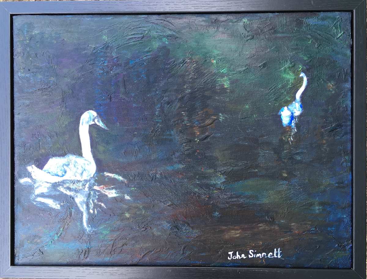 Swans at Night by John Simnett, Image 1.