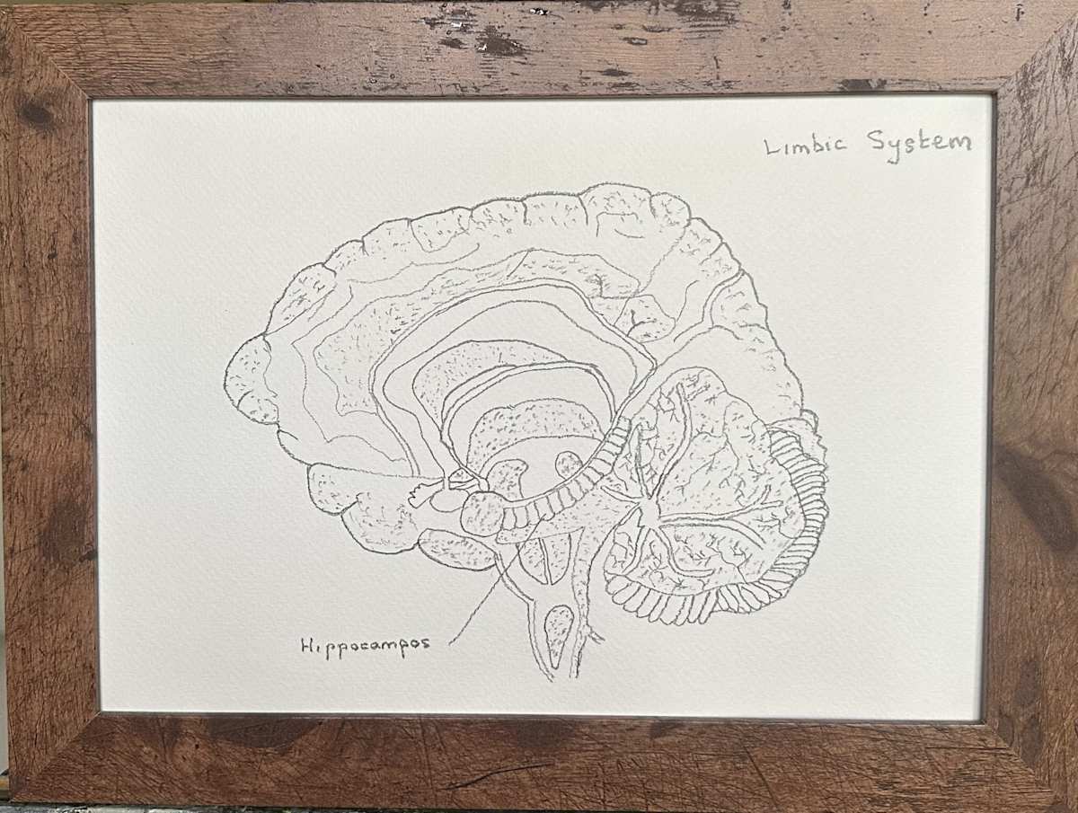 Limbic System by John Simnett, Image 1.