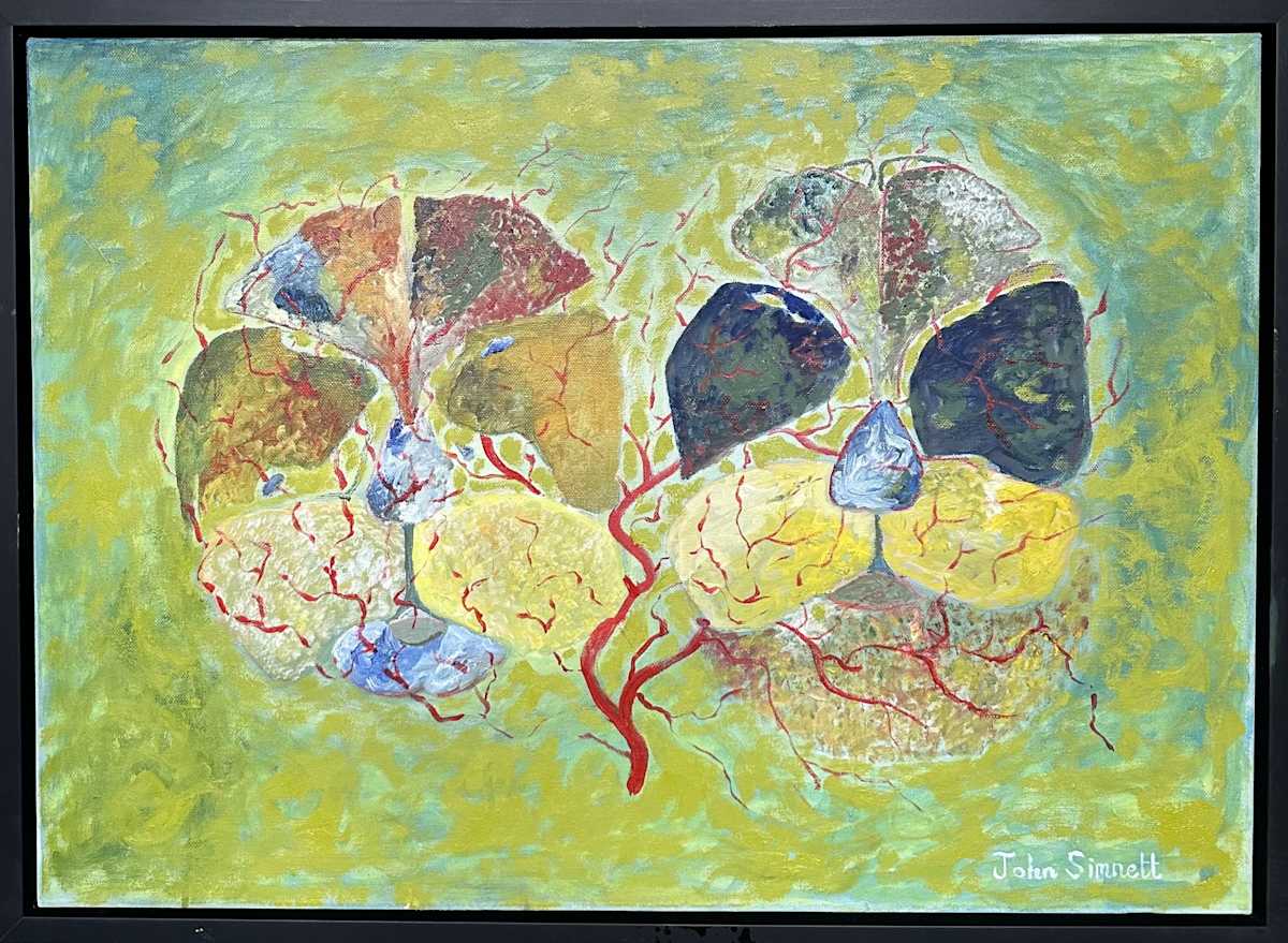 Two Faced by John Simnett 