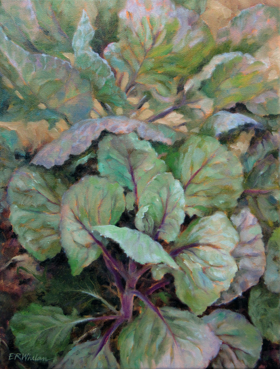 Brussels Sprouts, Evening Light by Elizabeth R. Whelan 