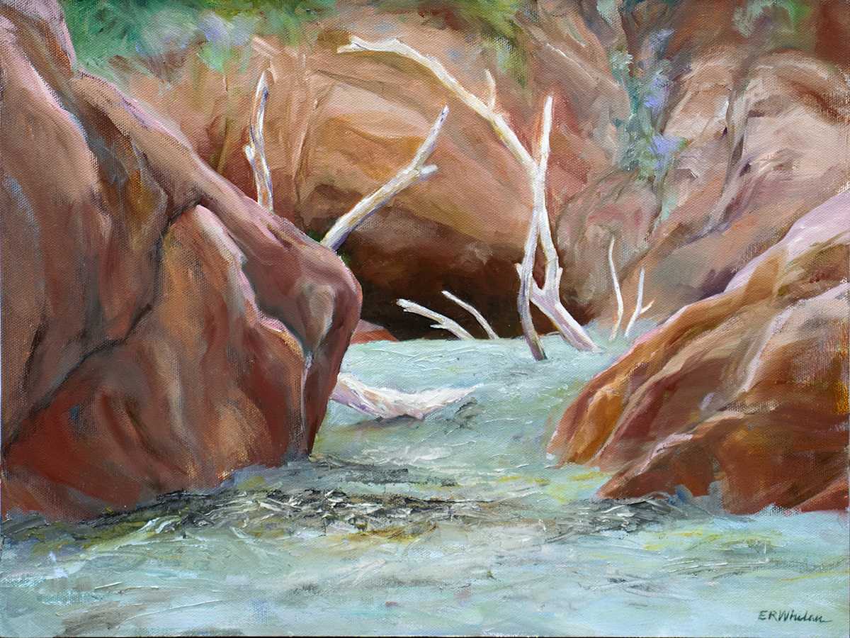 Mystery at Red Rocks by Elizabeth R. Whelan  Image: Chignecto Beach, Nova Scotia