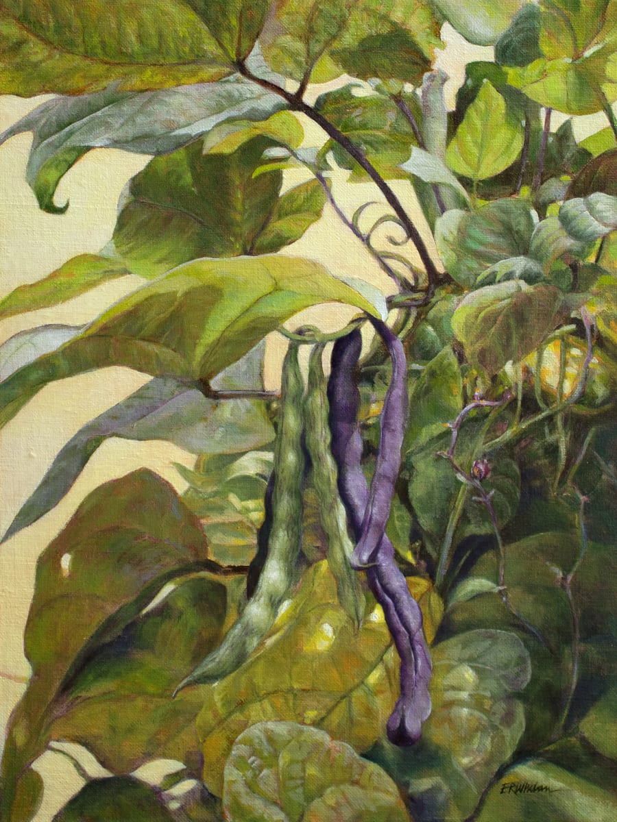 Late Summer Pole Beans by Elizabeth R. Whelan  Image: Botanical landscape painting of Rattlesnake and Purple Podded pole beans in late summer by artist Elizabeth R. Whelan.