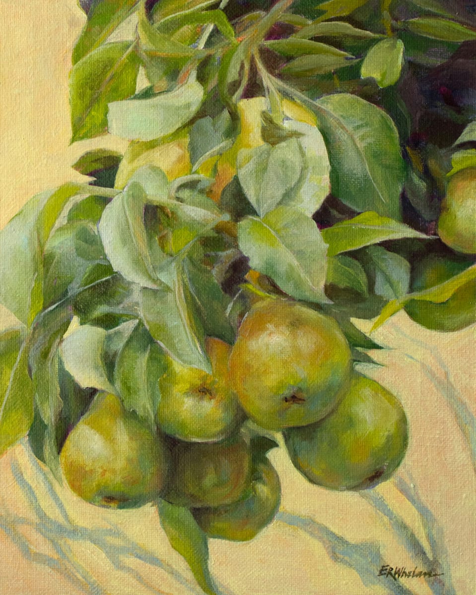 Cascading Pears by Elizabeth R. Whelan  Image: A bounty of pears and a variety of analogous colors make for a mellow botanical painting.