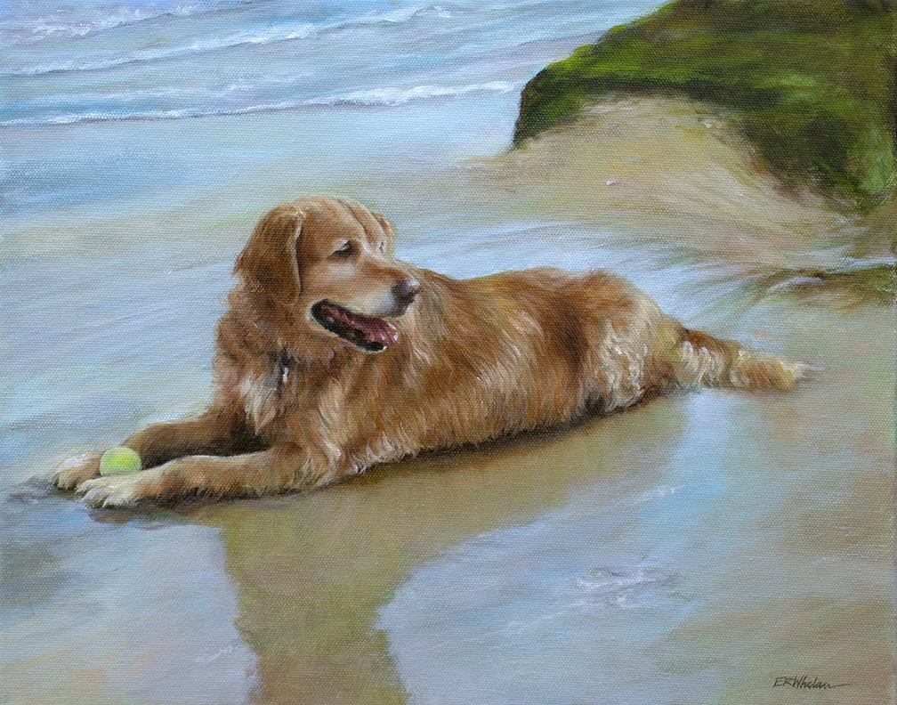 Retriever on Lucy Vincent Beach by Elizabeth R. Whelan 