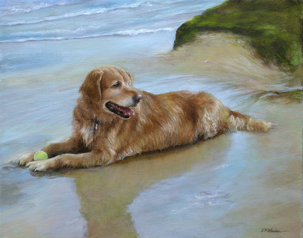 Retriever on Lucy Vincent Beach by Elizabeth R. Whelan  Image: A golden retriever takes a rest at the seaside in this posthumous portrait.
