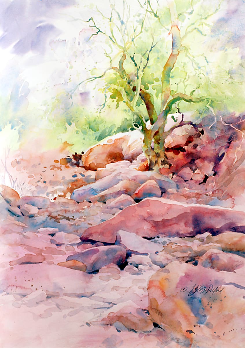Camelback Trail by Julie Gilbert Pollard 