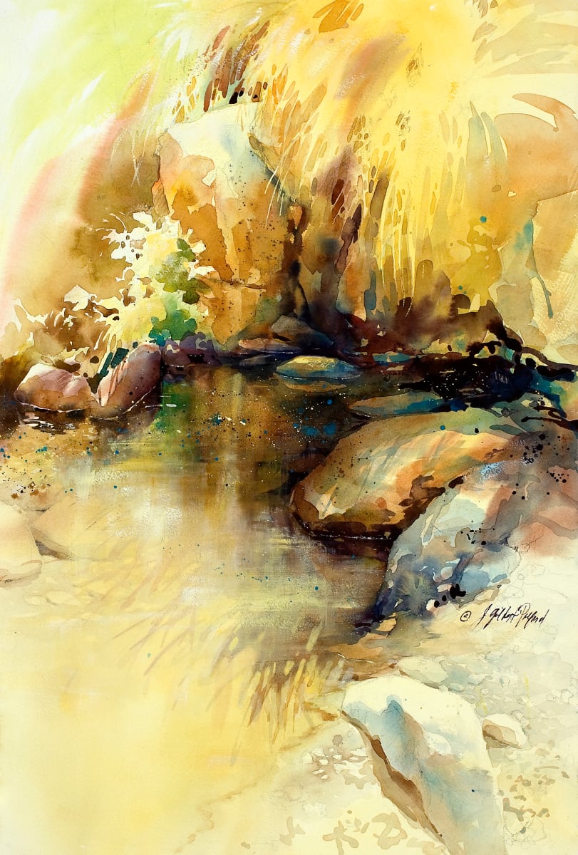 Desert Reflections by Julie Gilbert Pollard 