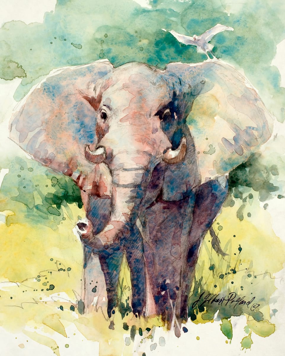 Symbiotica by Julie Gilbert Pollard 