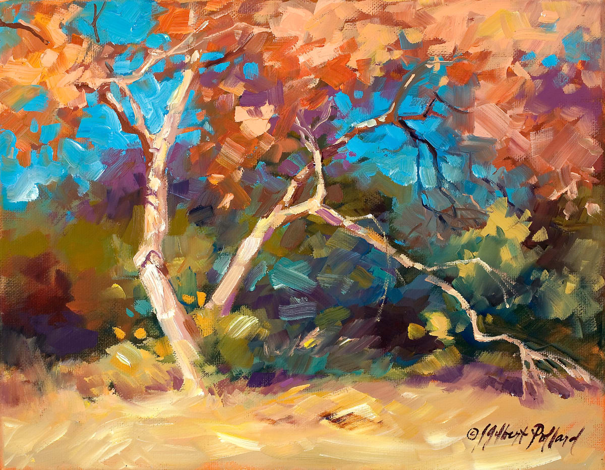 Sycamores at Red Rock Crossing by Julie Gilbert Pollard 