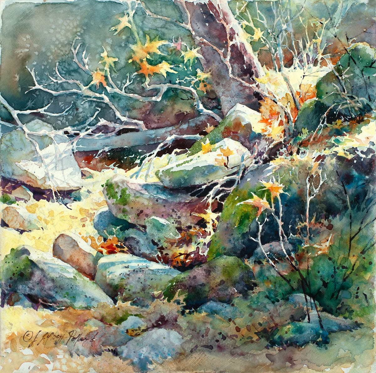 Rocky Hollow by Julie Gilbert Pollard 