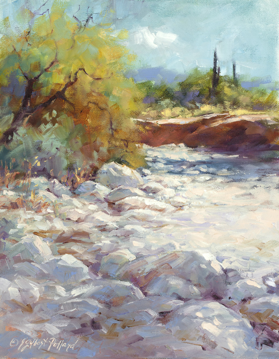 White Tanks Ravine by Julie Gilbert Pollard 