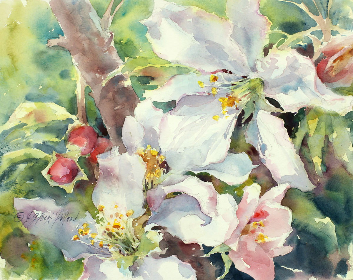 Peaches in Progress by Julie Gilbert Pollard 