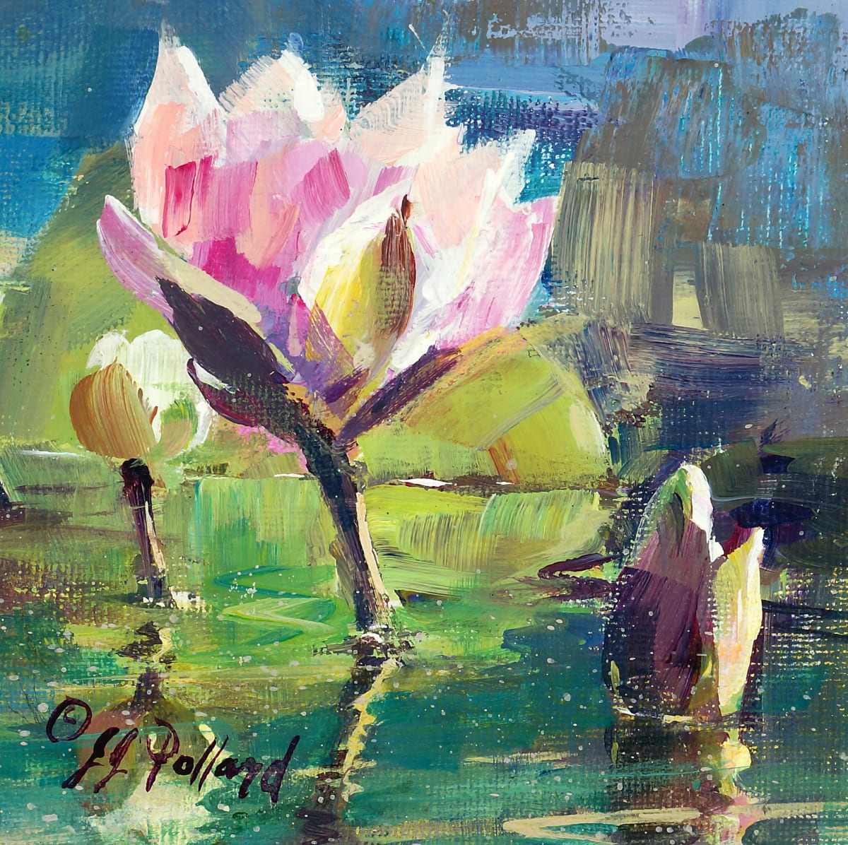Water Lily by Julie Gilbert Pollard 