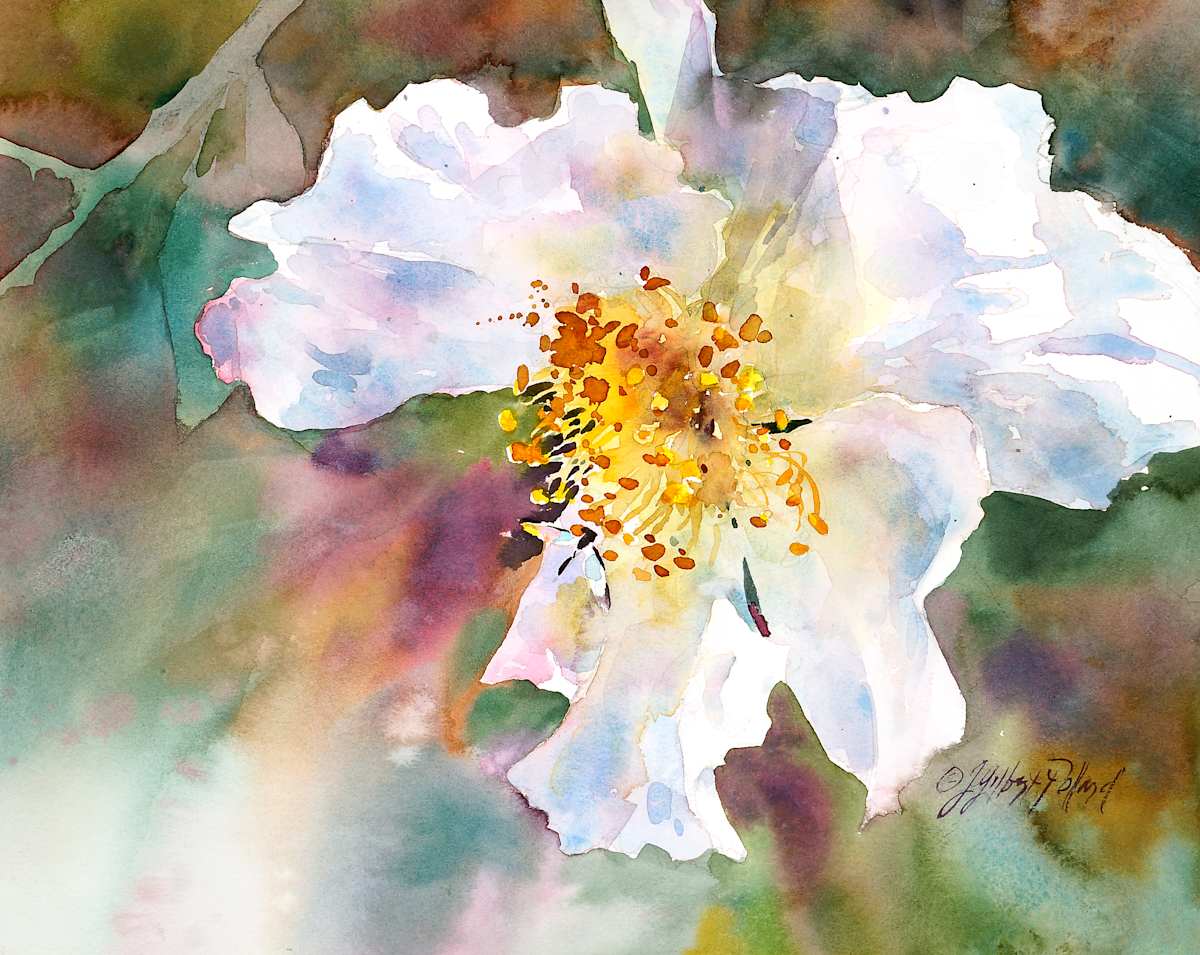 Camelia by Julie Gilbert Pollard 