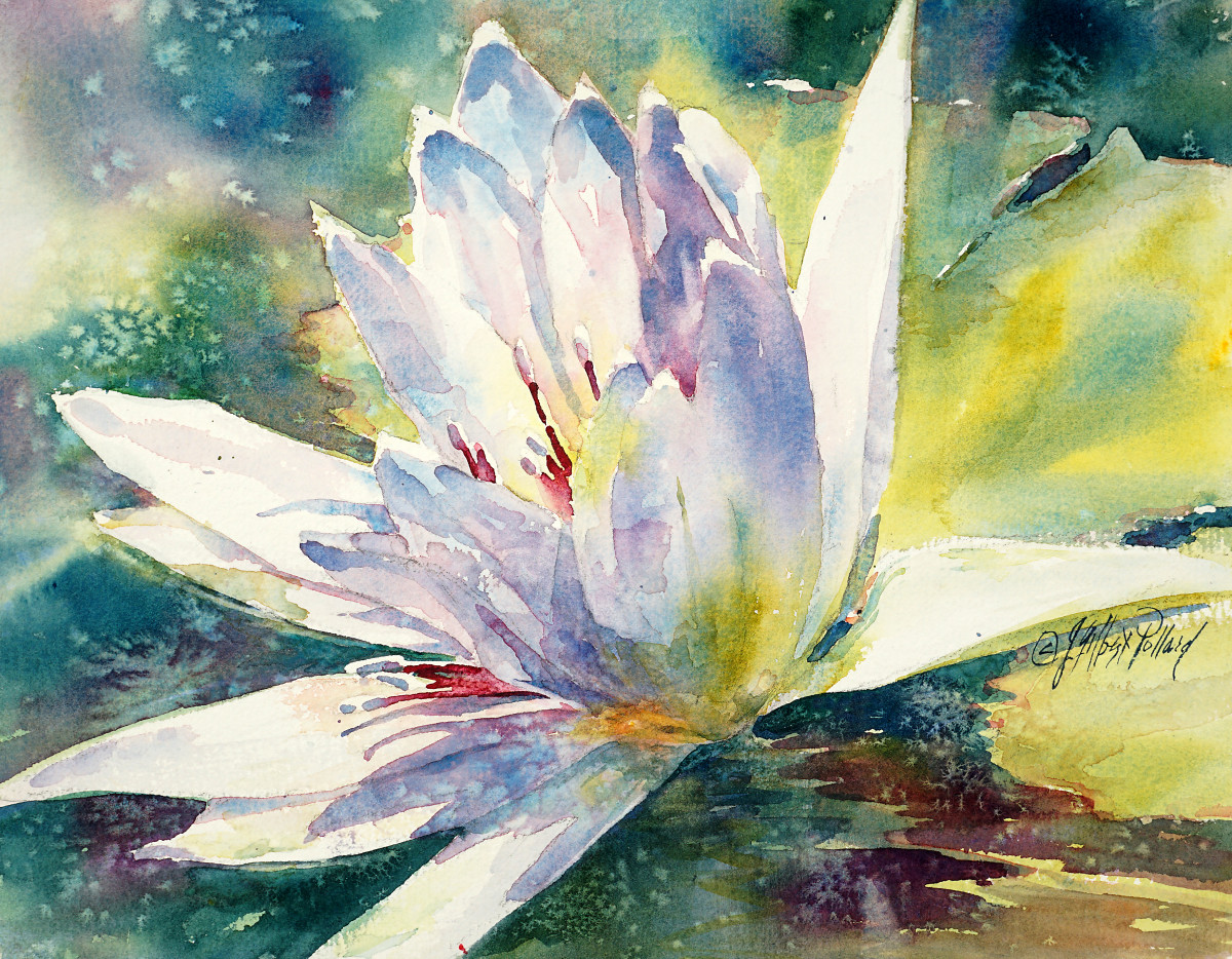 Water Lily by Julie Gilbert Pollard 