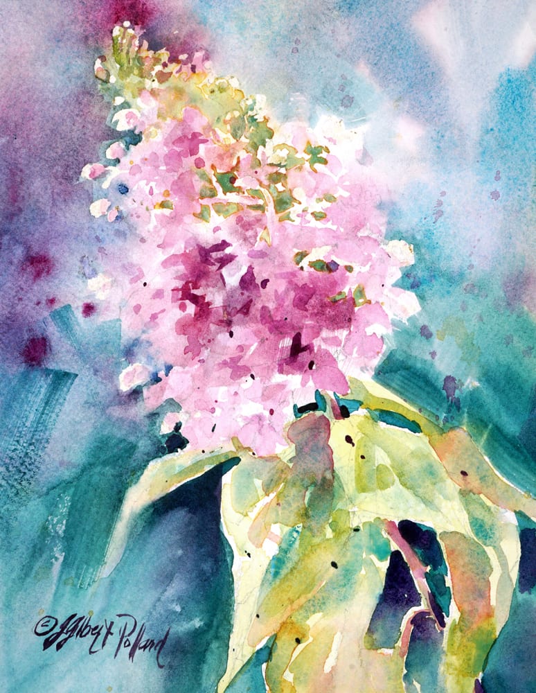 Hydrangea by Julie Gilbert Pollard 