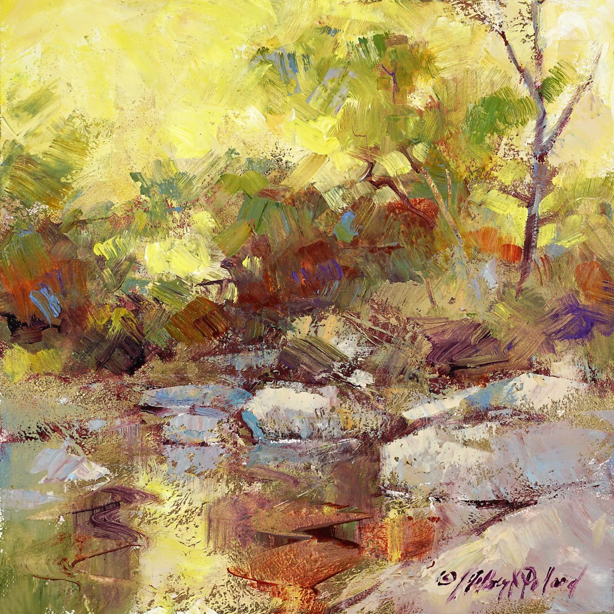 Sabino Stream by Julie Gilbert Pollard 
