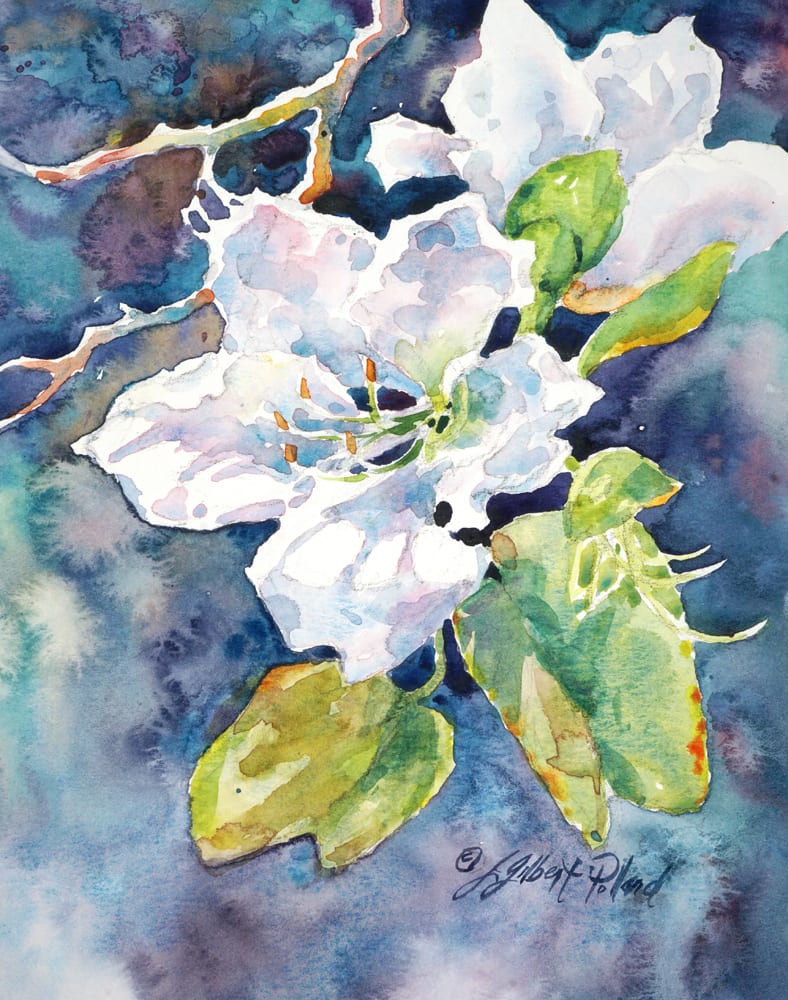 Orchid Tree Blossom I by Julie Gilbert Pollard 