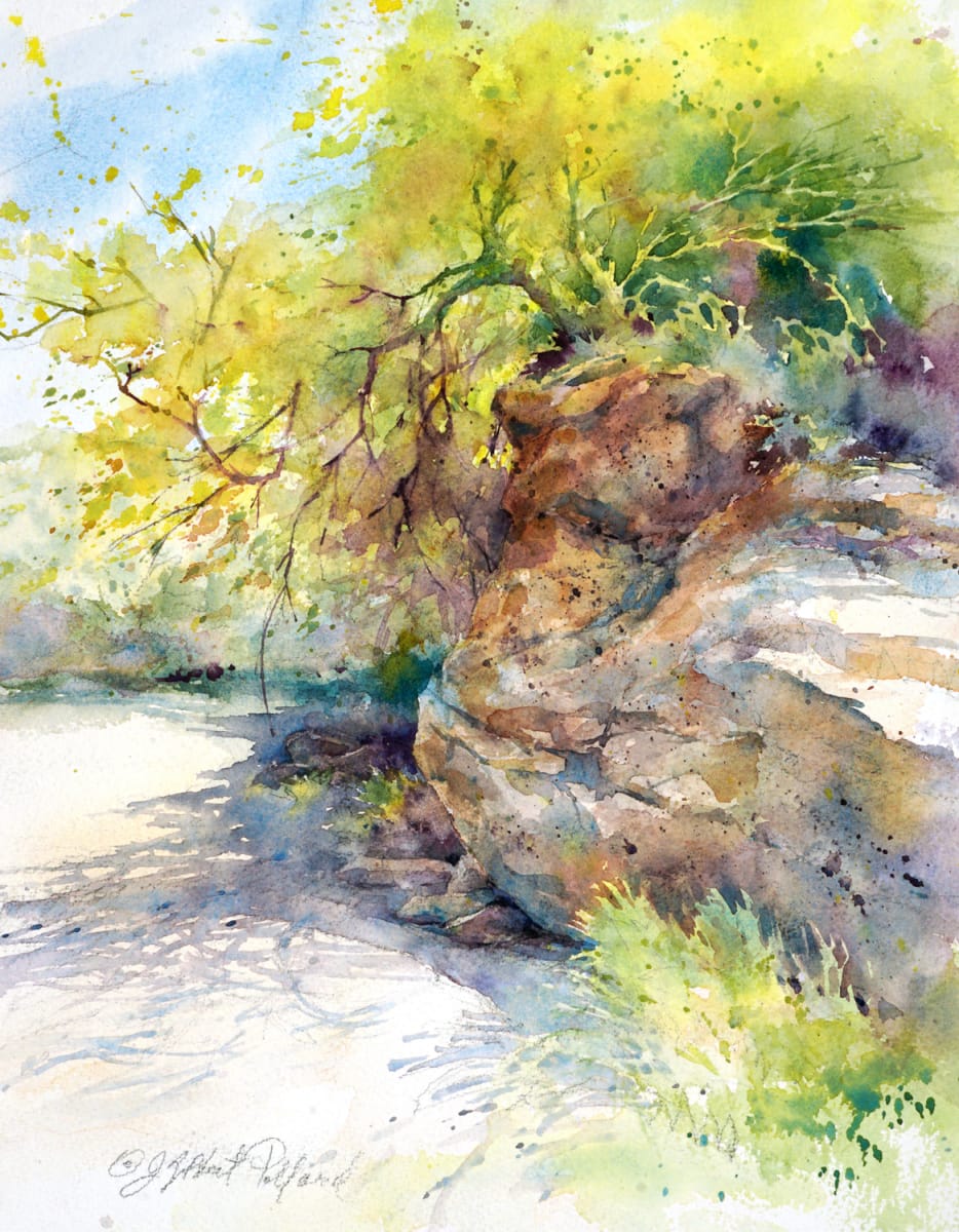 Sonoran Shadows by Julie Gilbert Pollard 