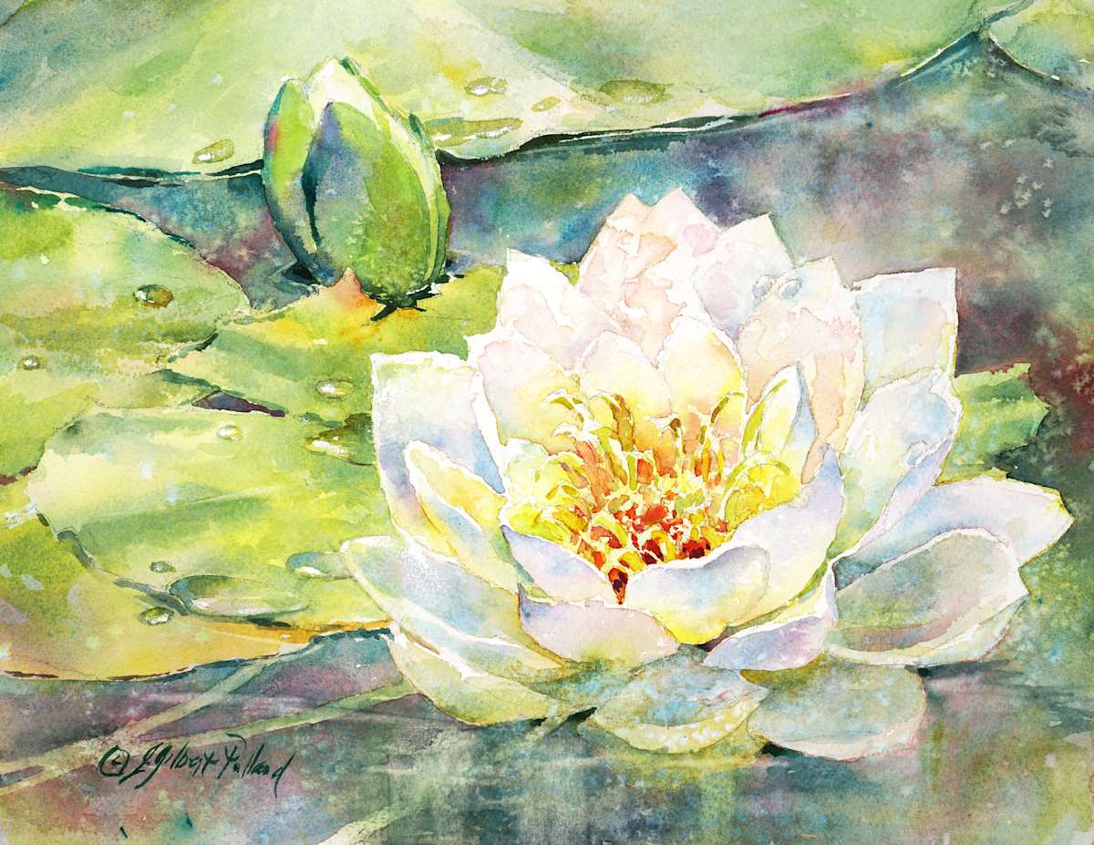 Water Lily on Lake Bryant by Julie Gilbert Pollard, Image 7.