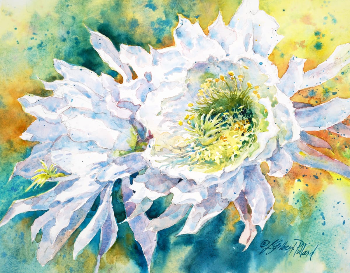 Day-blooming Cereus by Julie Gilbert Pollard 