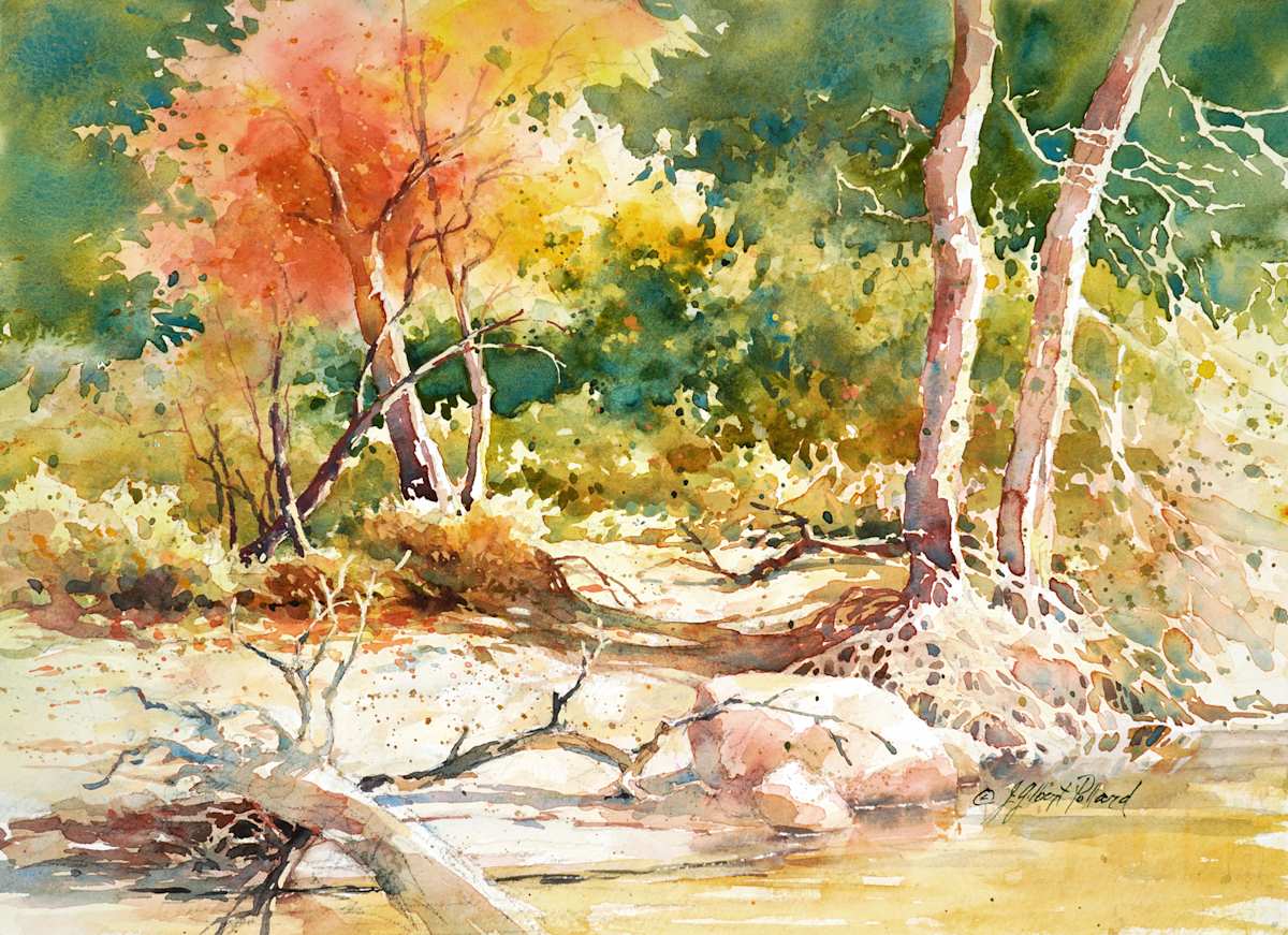 West Fork Trail by Julie Gilbert Pollard 