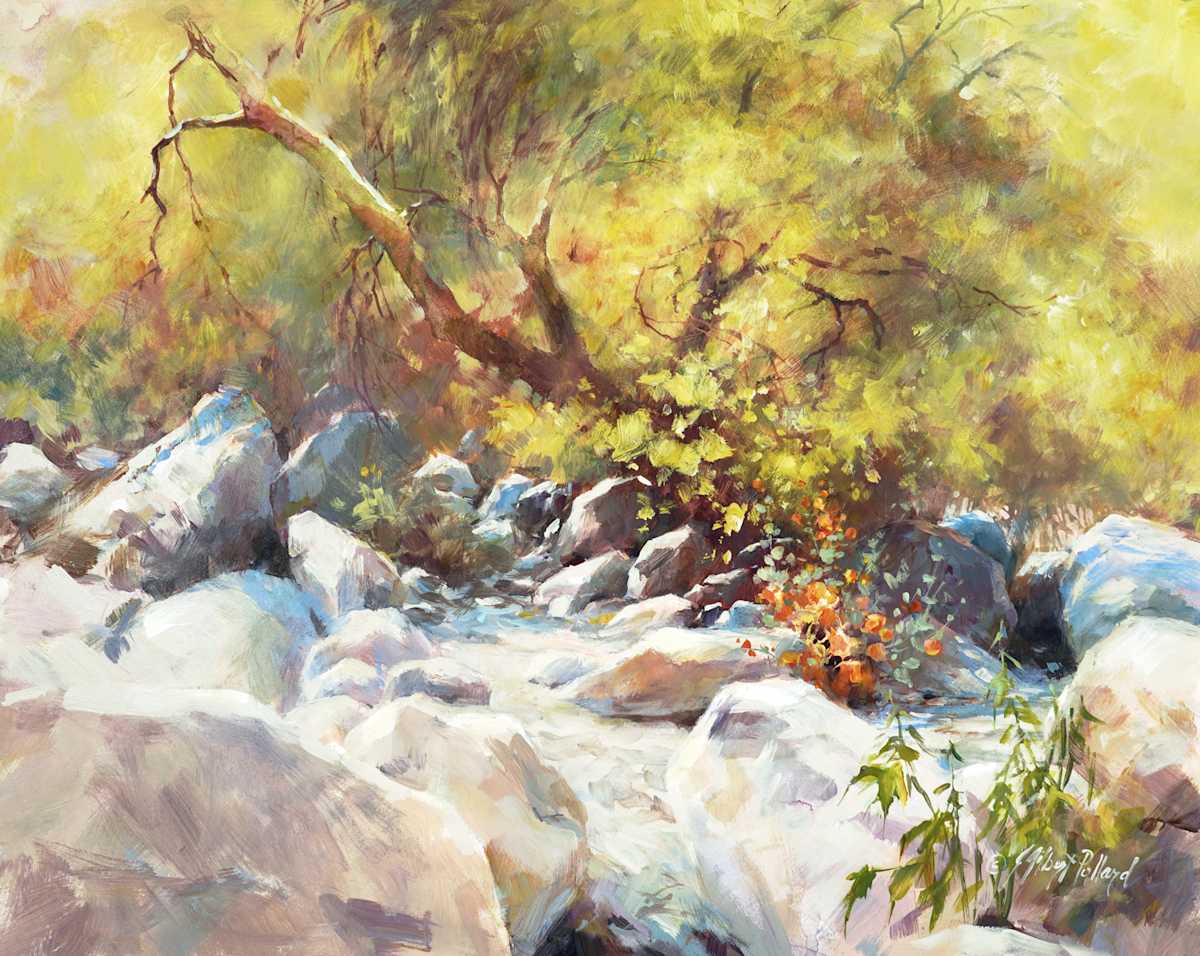 Sonoran Gold by Julie Gilbert Pollard, Image 13.
