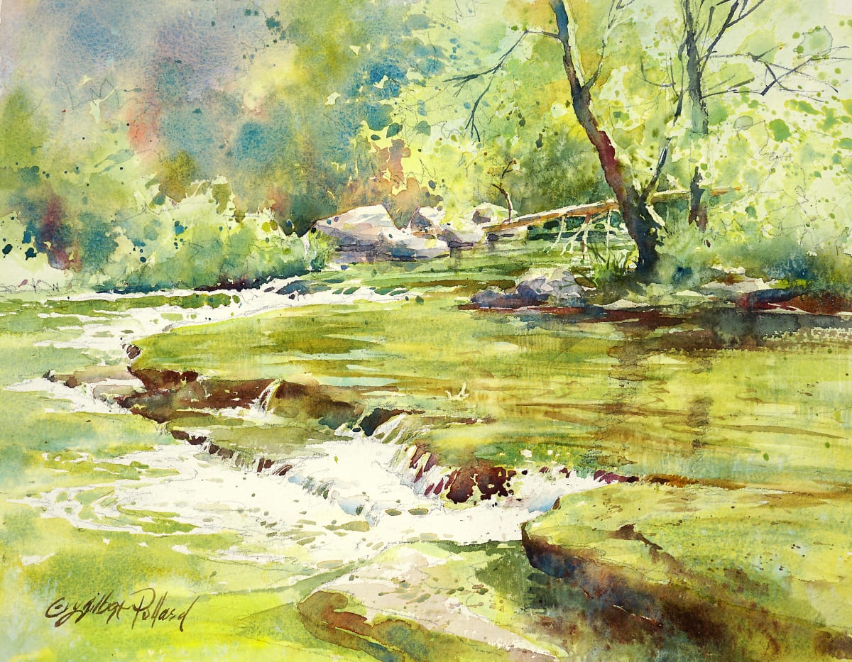 Above Chittenango Falls by Julie Gilbert Pollard, Image 8.