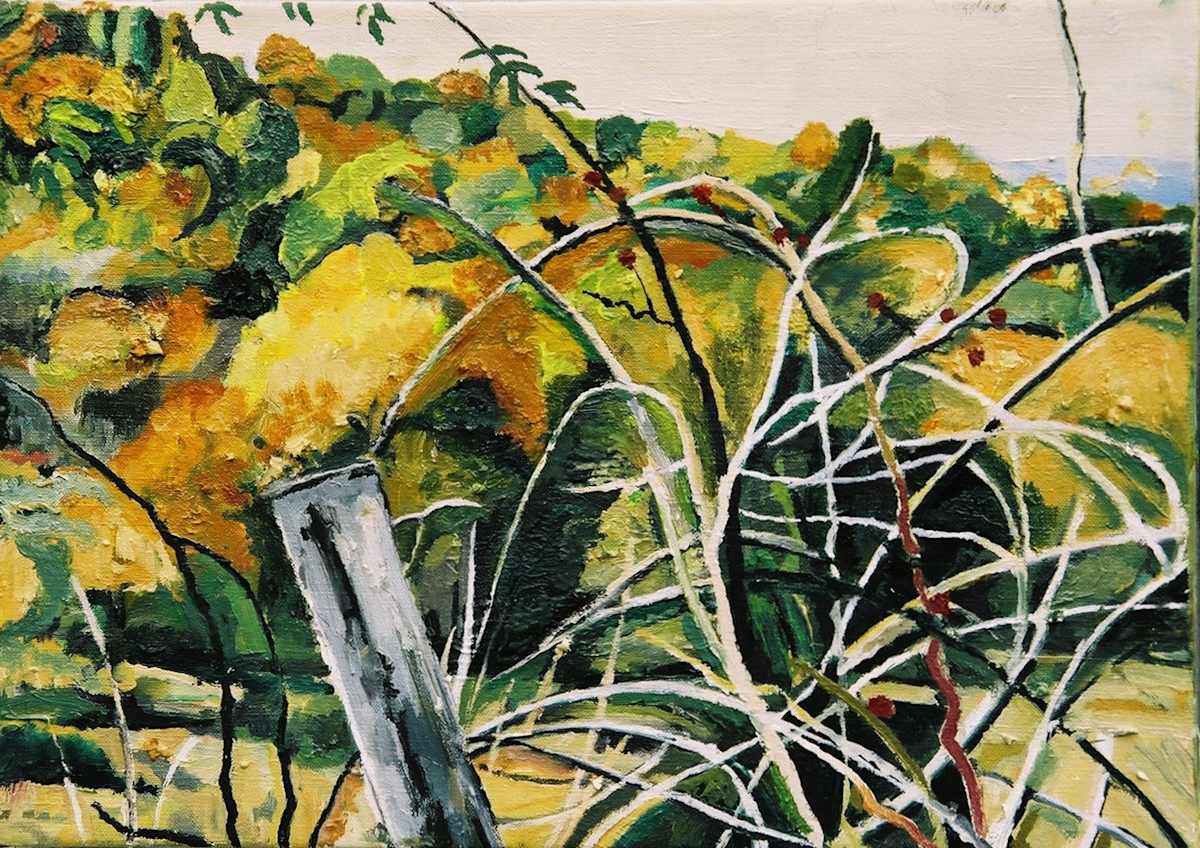 Fenceline by Tom Goldenberg Studio LLC, Image 1.