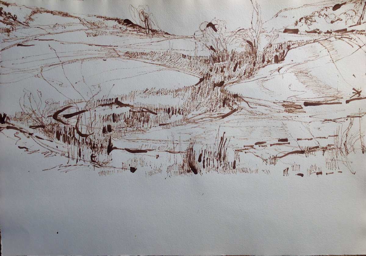 White House Field 1 by Tom Goldenberg Studio LLC 