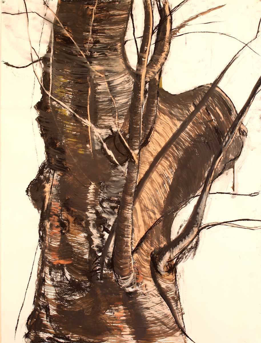 Sycamore by Tom Goldenberg Studio LLC, Image 1.