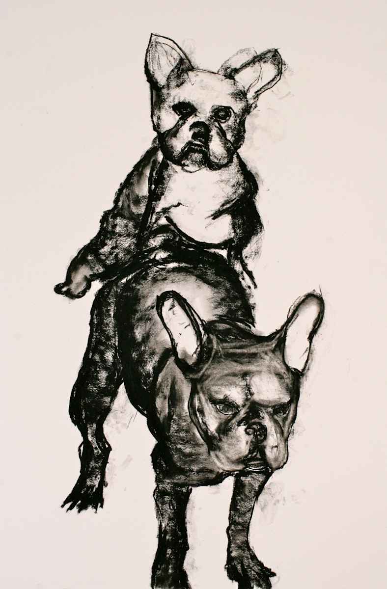 Bulls by Tom Goldenberg Studio LLC, Image 1.