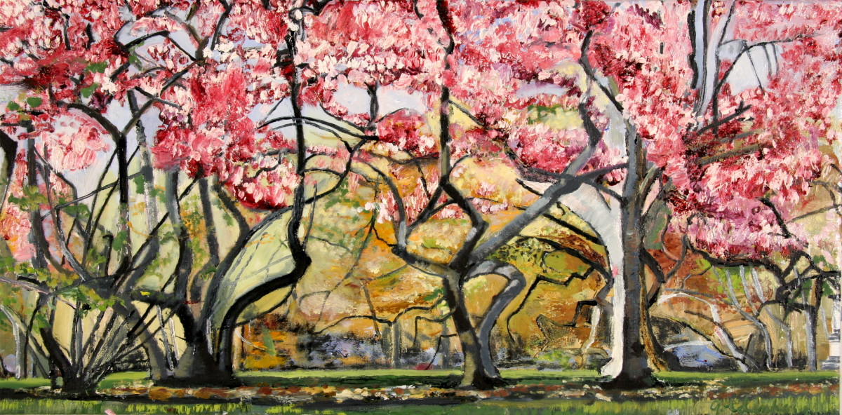 Central Park Magnolia by Tom Goldenberg Studio LLC 