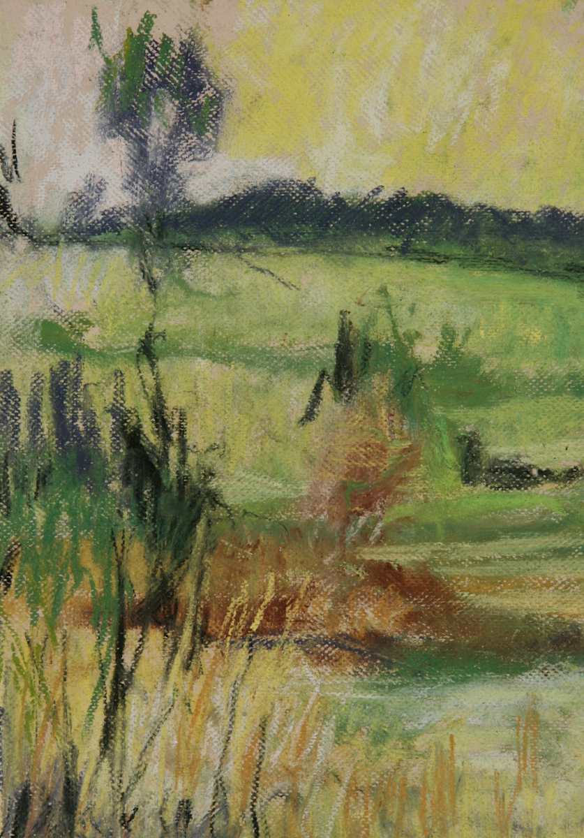 Green Field by Tom Goldenberg Studio LLC 