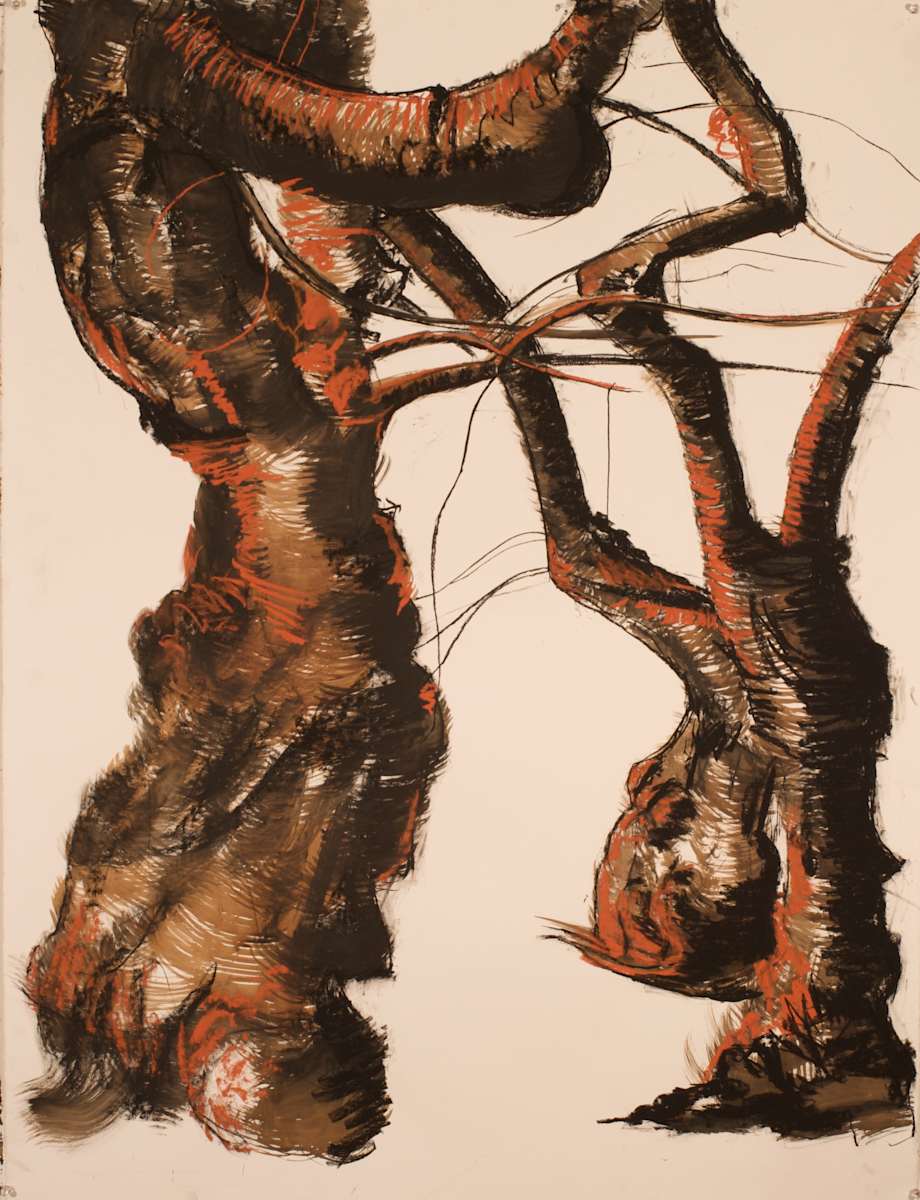 Central Park Cherry Series #5 (Grind) by Tom Goldenberg Studio LLC, Image 1.
